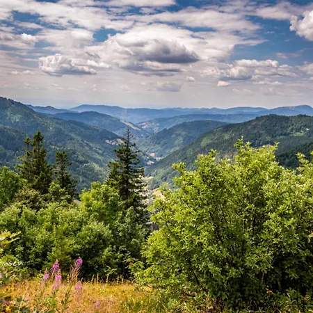 Dresselbach - 06 